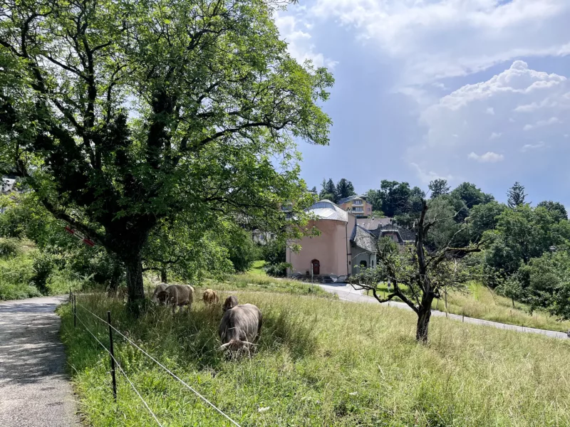 Landschaft_v2